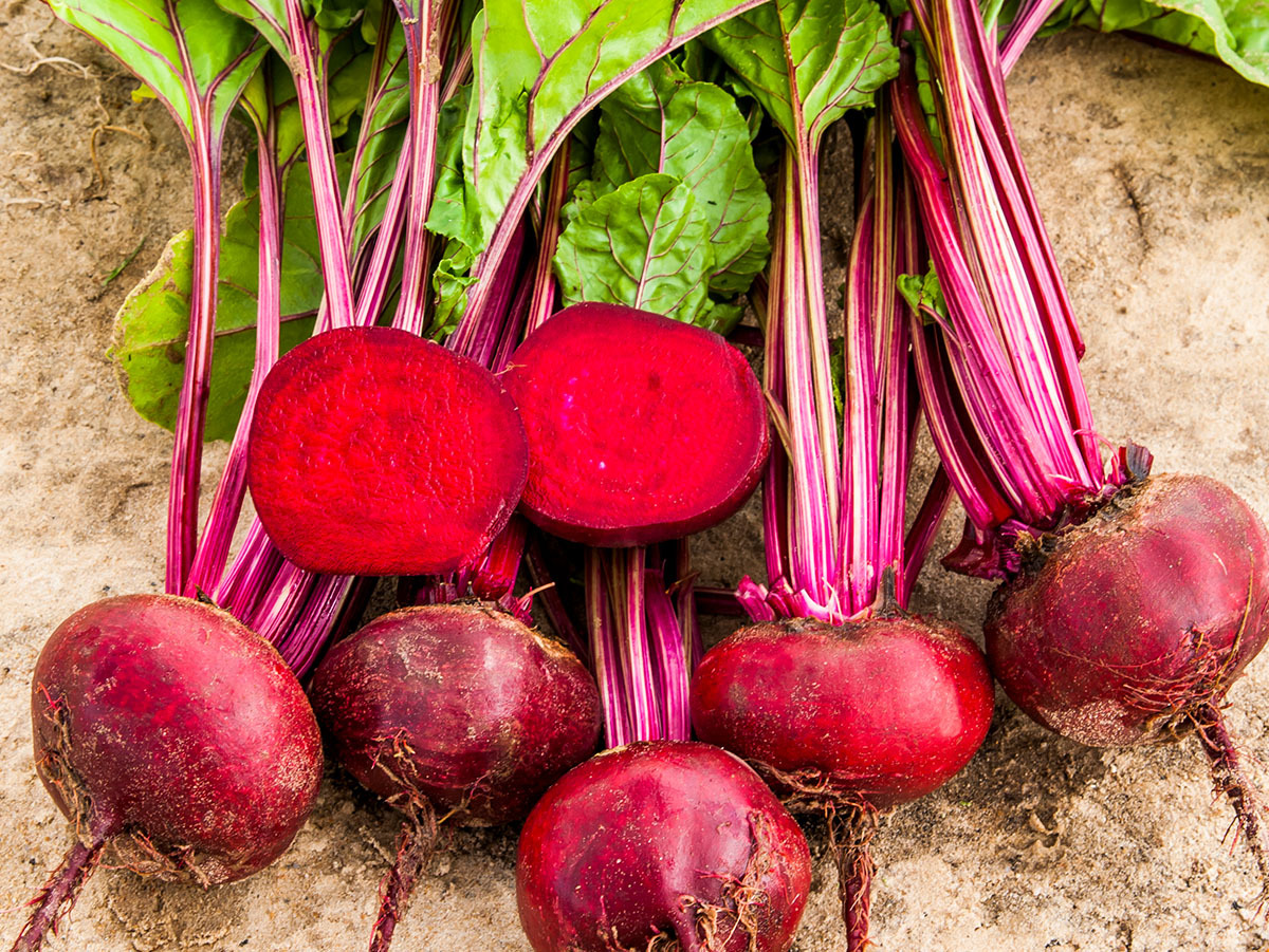 Seven advantages of beets
