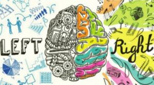 Seven Right Brain Qualities
