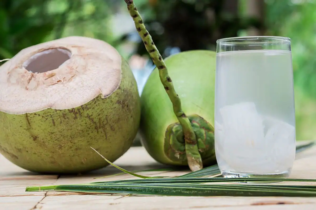 11 Coconut Water Benefits