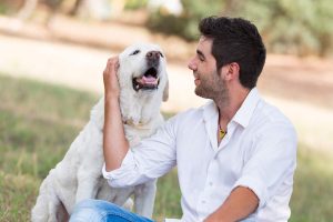 Top 10 Pet Care Tips Every Pet Owner Should Know