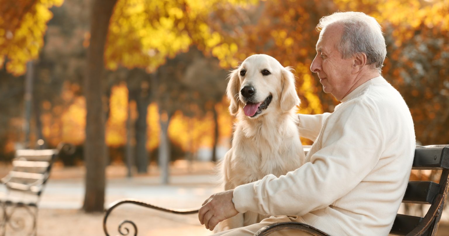 Paws, Companionship, and Well-Being: The Indispensable Role of Pets in Human Life