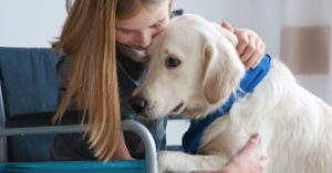 The Science of Pet Therapy: Understanding How Animals Improve Mental Health